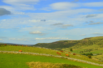 Fototapeta na wymiar Castleton countryside in the Peak District National Park