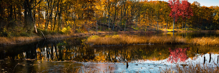 Panoramic image of first ice on the pond in early November