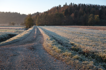 country road across the fields and meadows covered with frost in November