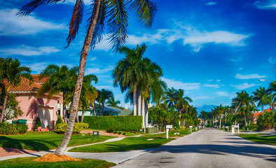 Beautiful street of Floirda with palms and homes