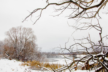 Landscape of late autumn with an old willow on the snow-covered bank of a frozen lake