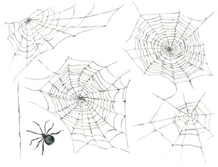 Halloween seamless pattern with black spider and web