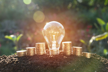 Energy saving light bulb and tree growing on stacks of coins on nature background.