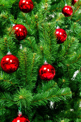 Christmas tree with ornaments, close-up