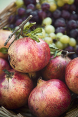 Pomegranates and grapes