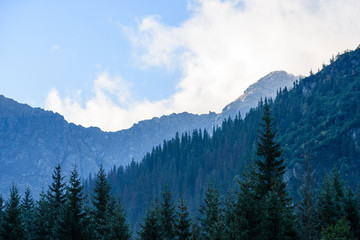 Fototapeta premium mountain tops in autumn covered in mist or clouds