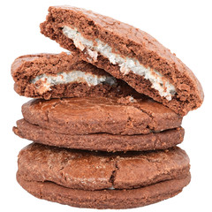 Appetizing chocolate chip cookies isolated