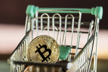 one bitcoin currency shopping concept