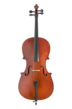 cello on white background