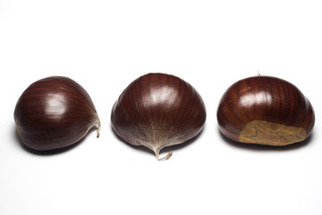 Chestnut on white background from Sicily
