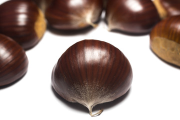 Chestnut on white background from Sicily