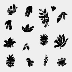 Texturized floral shapes. Hand drawn forms.