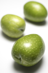 Freshly harvested olives on white background from Sicily