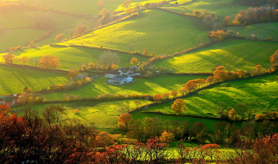 Autumn landscape in East Devon AONB (Area of Outstanding Natural Beauty)