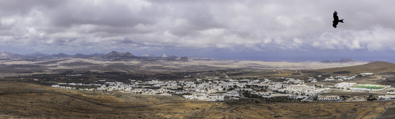 Panorama of Teguise with silhouette of a falcon - Teguise, Lanzarote, Canary Islands, Spain