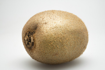 kiwi on white background
