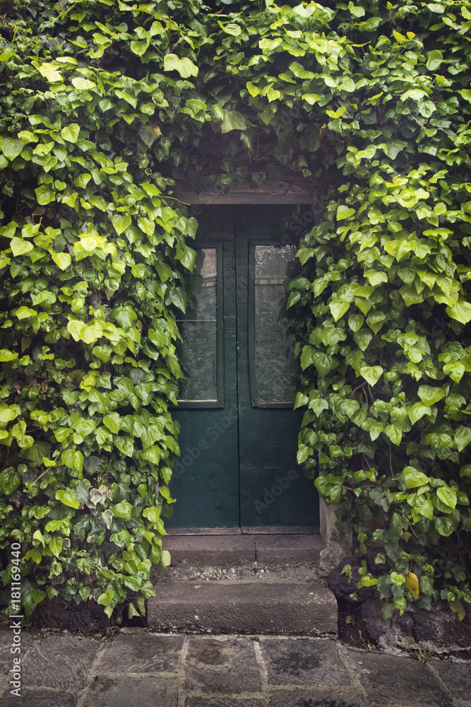 Wall mural old sicilian door