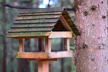 Garden ornaments: a bird feeder.