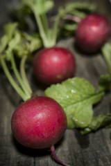 Red radish on wood