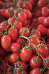 Sicilian cherry tomatoes 