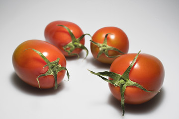 Tomatoes on light grey background