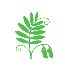 Lentil logo. Isolated lentil on white background