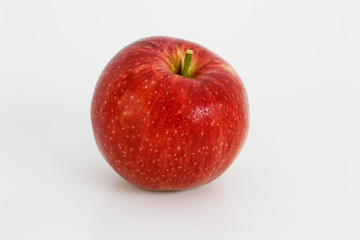 apple gala covered with morning dew