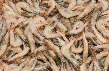Background of fresh seafood shrimp close-up on the market