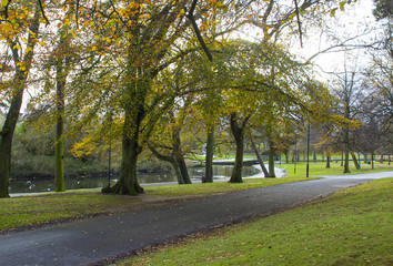 Fototapeta na wymiar The small tree lined river that flows through Ward Park in Bangor County Down in Northern Ireland