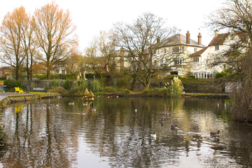 Fototapeta na wymiar The duck pond and wildlife in Ward Park that is open to the public Bangor County Down in Northern Ireland
