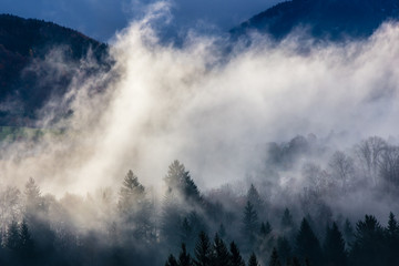 mountain in the morning mist