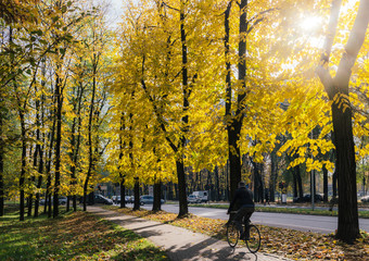 Cyclist on cycling path with autumn colours in Northern Italy