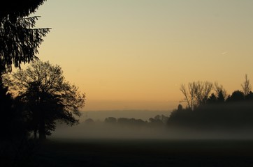 Obraz premium The Fog / der Tag beginnt sinnlich im Nebel