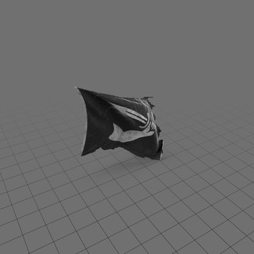 Pirate flag with hand holding sword 1
