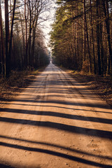 leśna droga © kolorowekadry