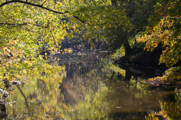 Trees in autumn colors and the reflections in water, Rock Creek Park, Washington DC, USA