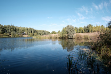 Ripples on the river