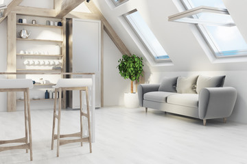 Attic kitchen with a bar, sofa