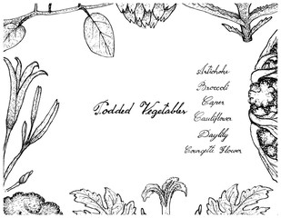 Hand Drawn of Podded Vegetables Frame on White Background