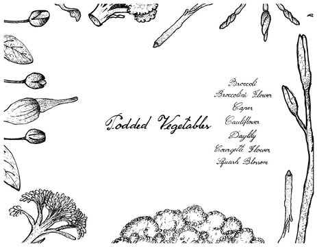 Hand Drawn of Podded Vegetables Frame on White Background
