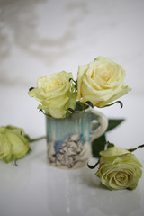 White Roses in and Around an Artisanal Ceramic Handmade Mug