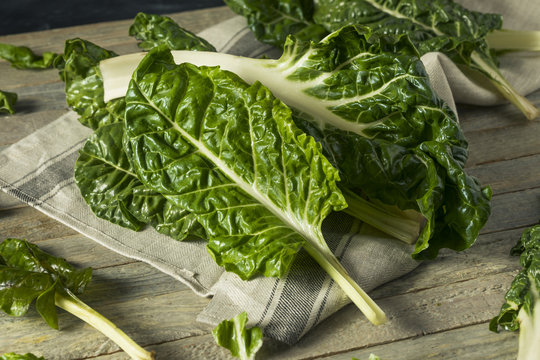 Raw Organic Green Swiss Chard