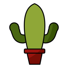 Cactus plant in vase