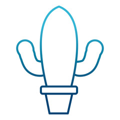 Cactus plant in vase