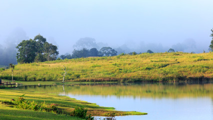 Lake as foreground, Mist over mountain, trees, forest as background, golden green grass field