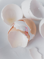 Empty, cracked and broken open egg shells of white and brown chicken eggs with leftover egg white on white plate, leftover egg shells from baking ready to go into organic waste