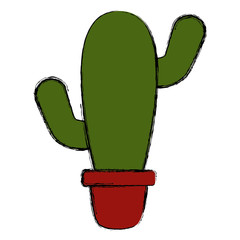 Cactus plant in vase icon vector illustration graphic design