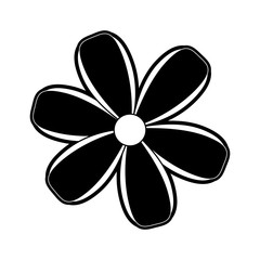 Beautiful flowers symbol icon vector illustration graphic design