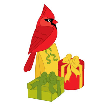 Vector Cardinal Sitting on the Gift Boxes