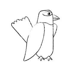 Beautiful parrot bird icon vector illustration graphic design